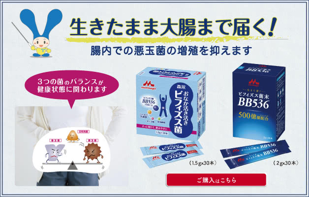 腸内環境をサポートする「ビフィズス菌」商品 発売中！