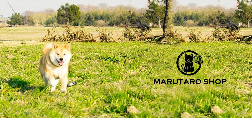 柴犬まるグッズ公式通販ネットショップ【marutaro.shop】